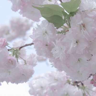 兽设比例设计入门Furry群